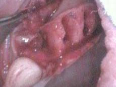 CvgƎ񋸐,3/15
