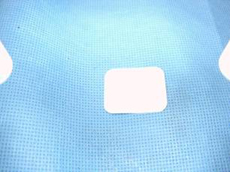 OȂƊ{14/31